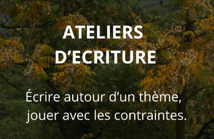 Pour toute information, contactez-moi au 06.20.08.75.81 (tel ou whatsapp) ou par mail marcushonig@free.fr